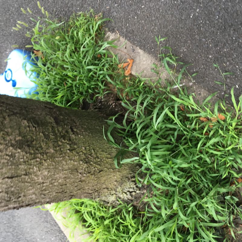 83回目 ラップ トラック 著作権