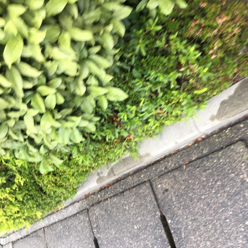 84回目 通信制限 言語 適当