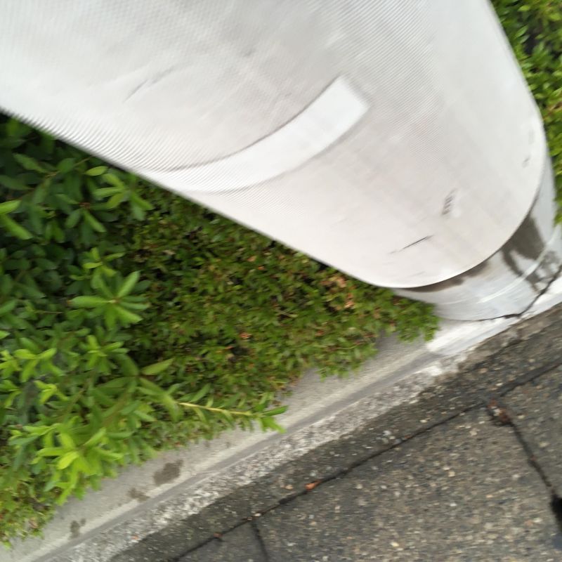 85回目 サイト 本名 ゆるキャラ