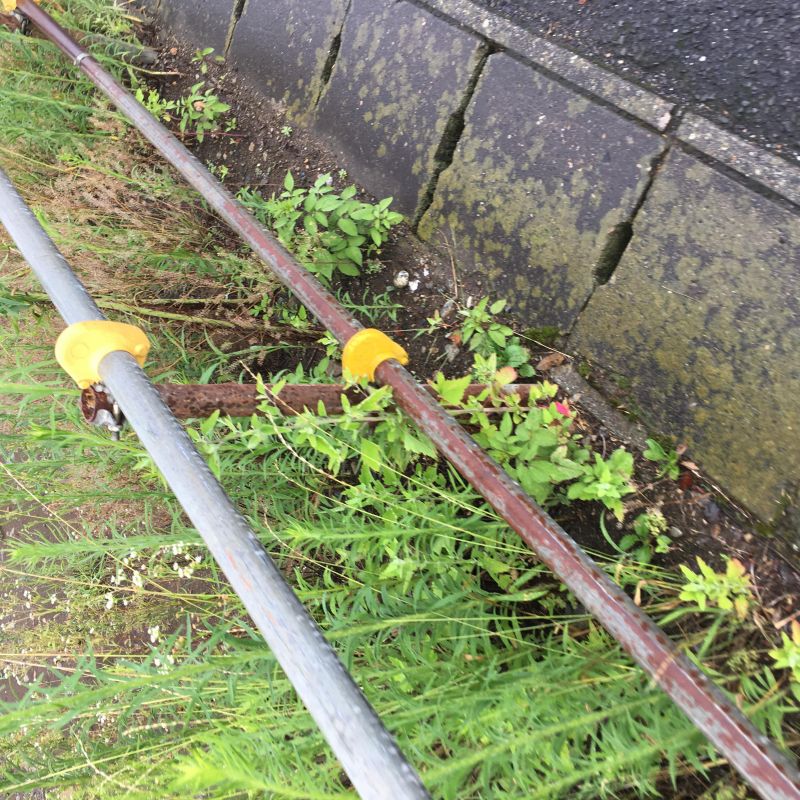 86回目 定期購読 写真 問題