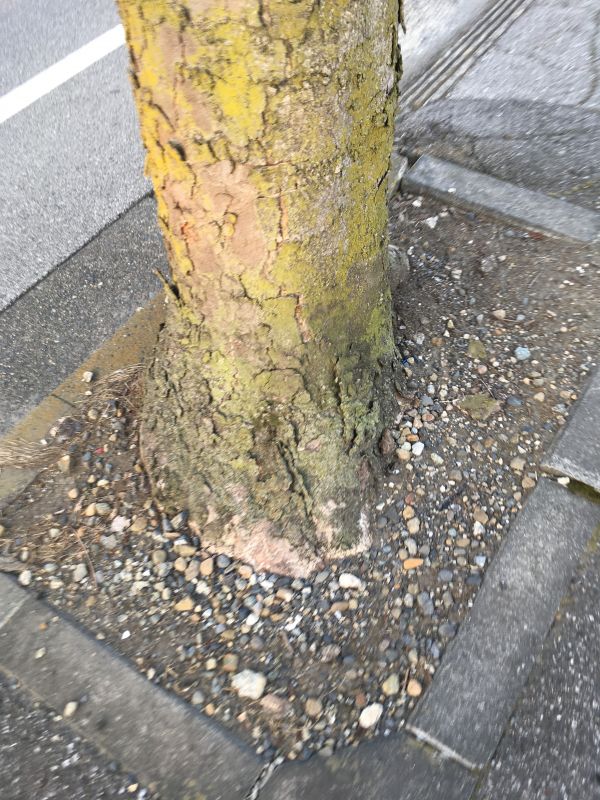 89回目 ハードル スタート 目覚め