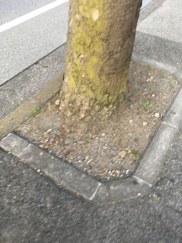 90回目 義務 表示 薬