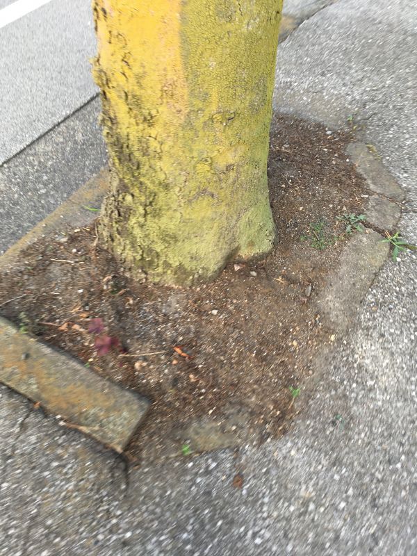 91回目 渋い 優しい 借金