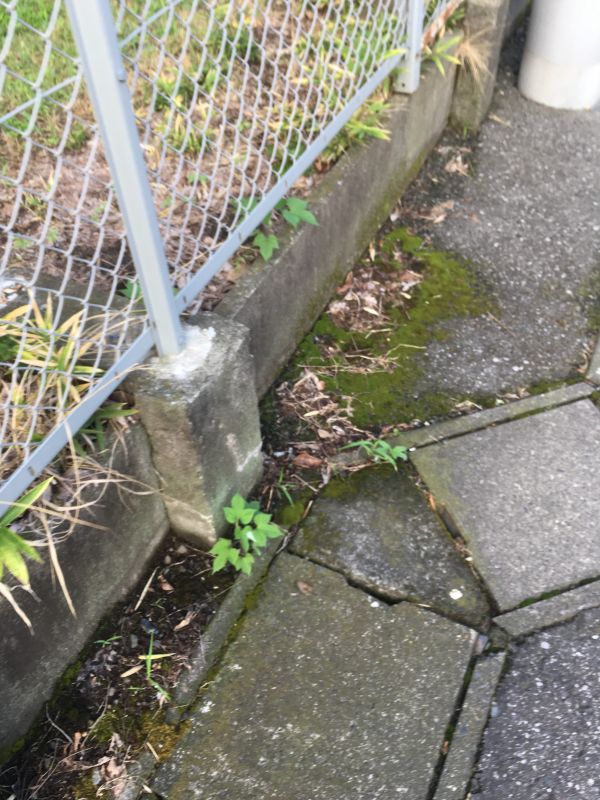 92回目 交番 入試 差別