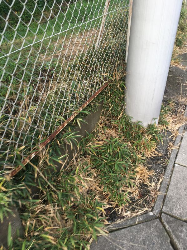 97回目 質問箱 家電 歯みがき欲