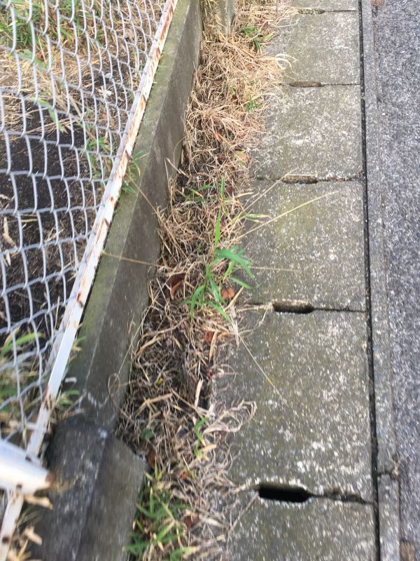 98回目 誕生 進化 信仰