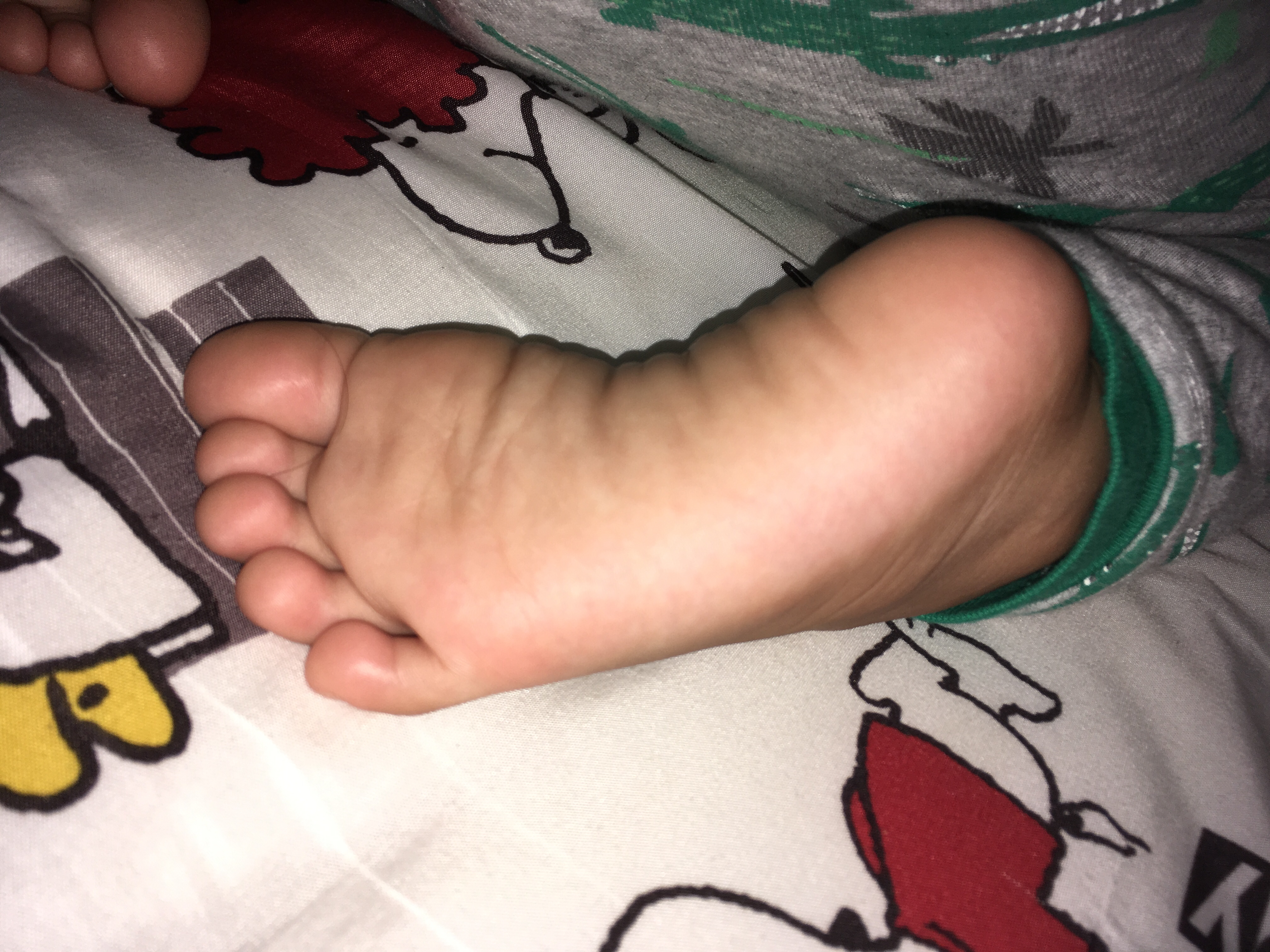 100回目 誕生 成長 好き勝手