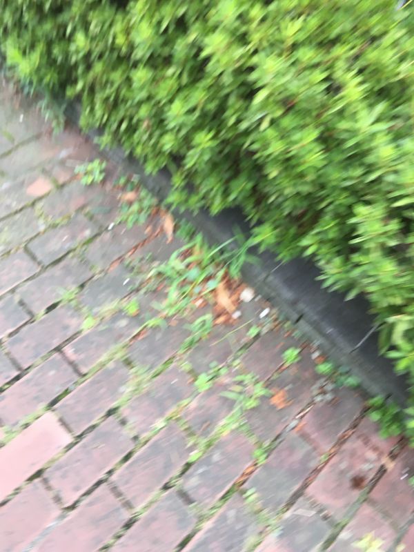 102回目 津田さん 文章 名盤