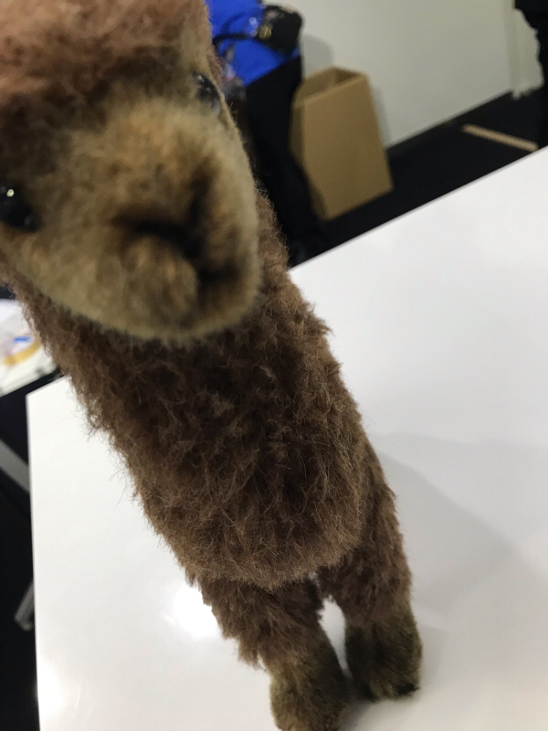 はじめまして リアフェトーク#1 守屋Dに質問