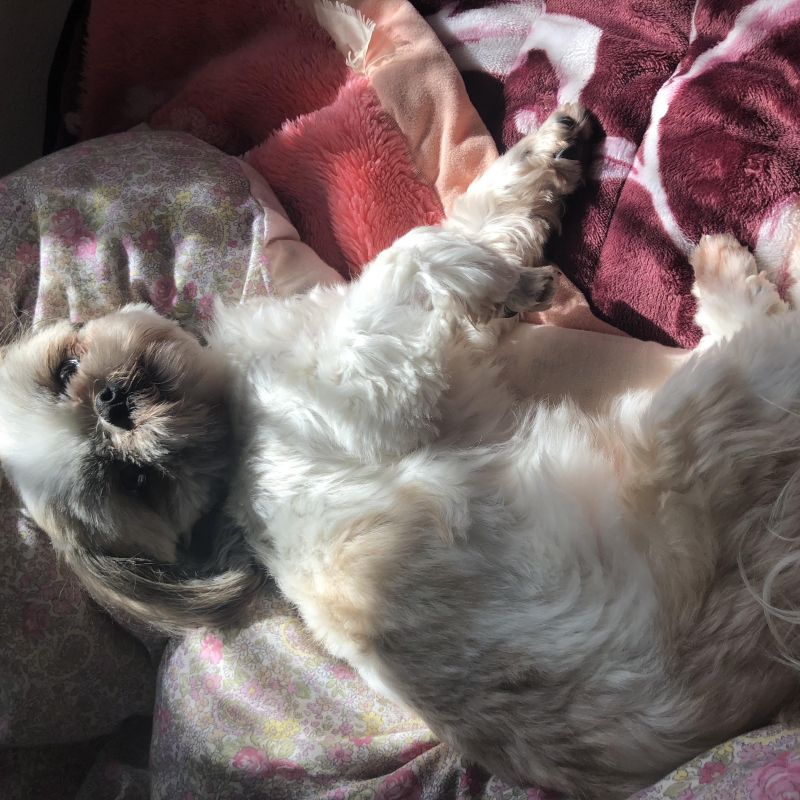 第5回目〜週の仕事始め 月曜日に向けて