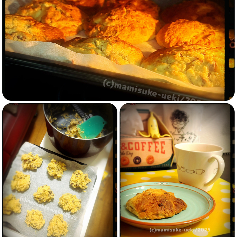 @:1557【まみすけ兵長】年末大点検【監査】