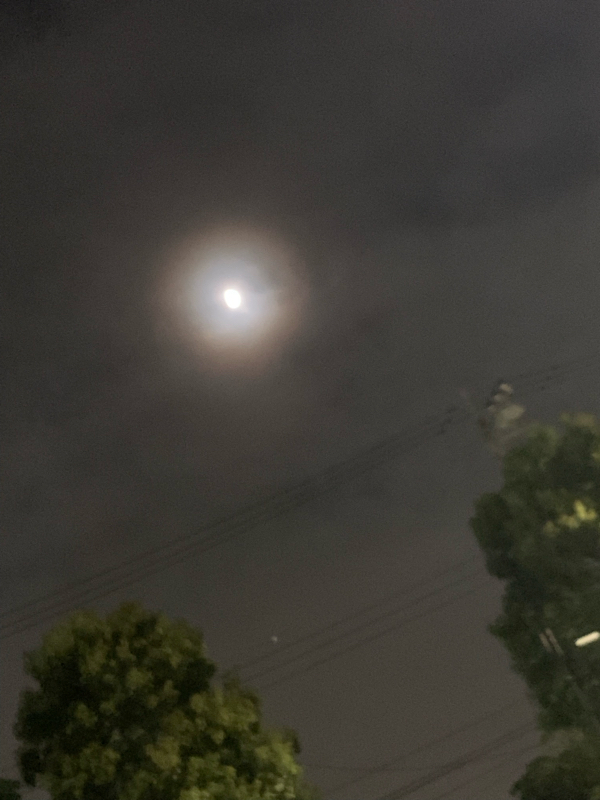 ニートの頭の中