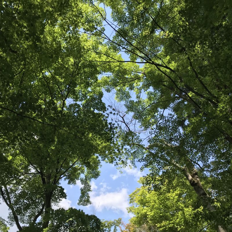 風鈴のつぶやきシリーズ