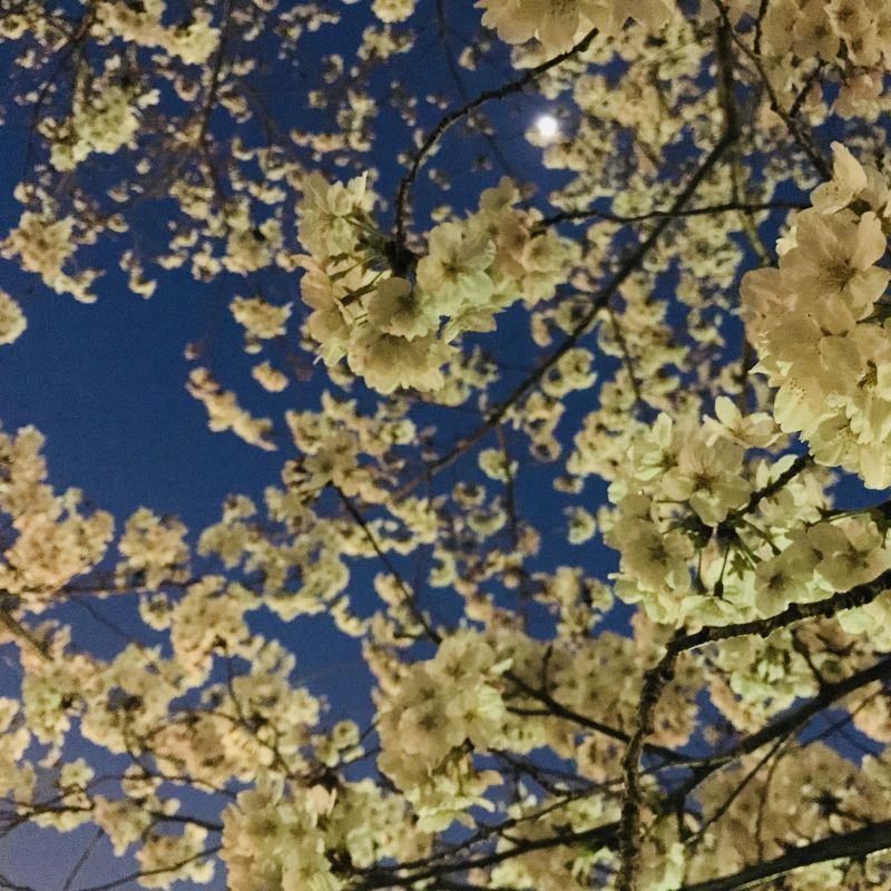 ＊1 まずはじめに