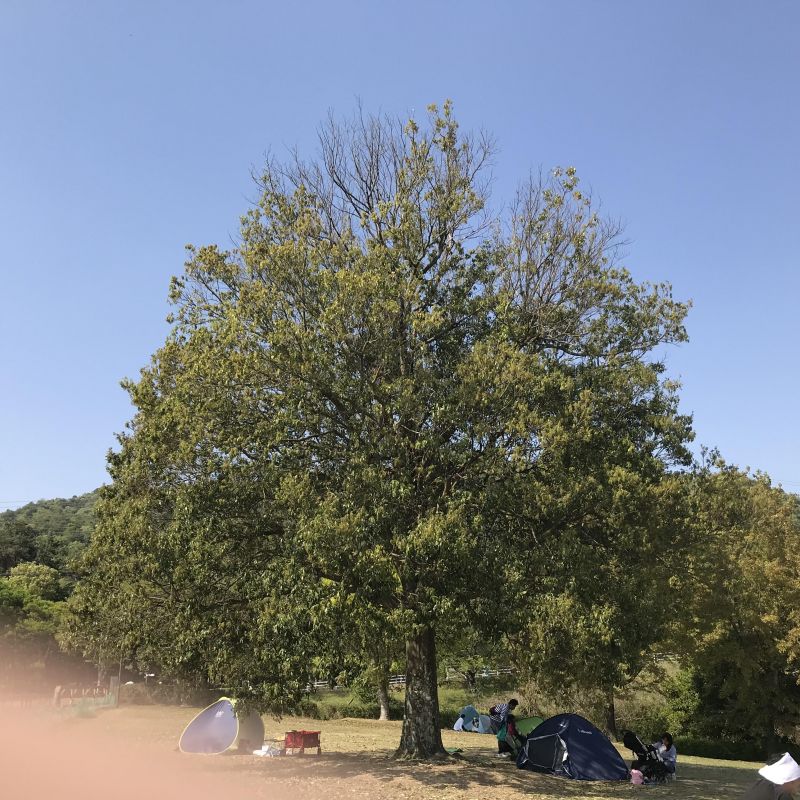 ゴミボの#はじめまして