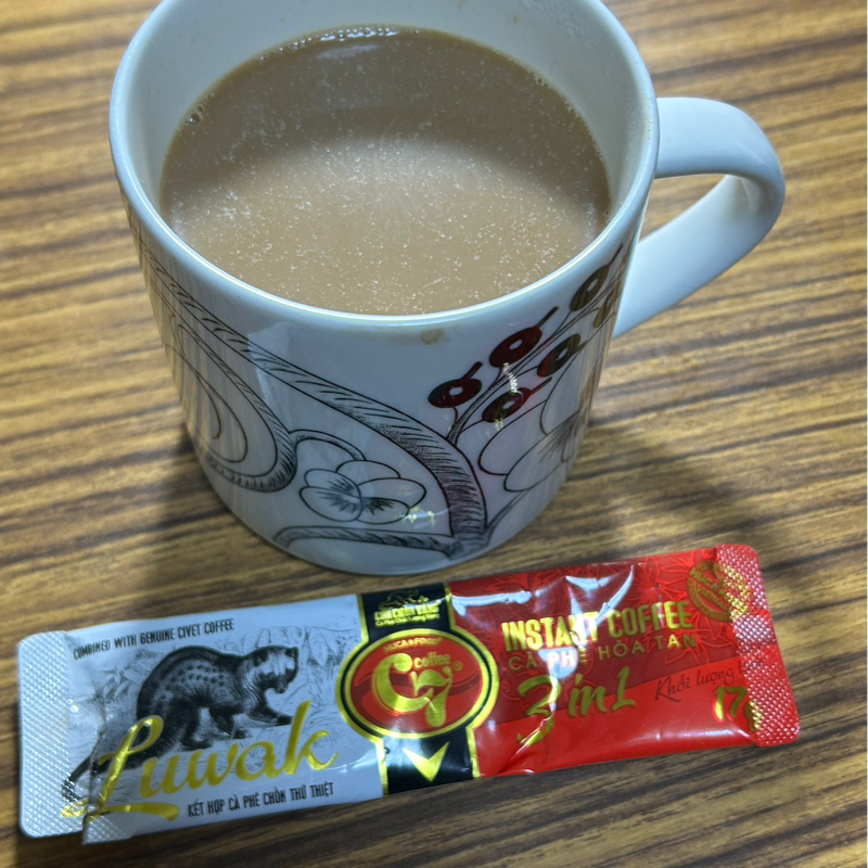 文豪猫と、ジャコウ猫