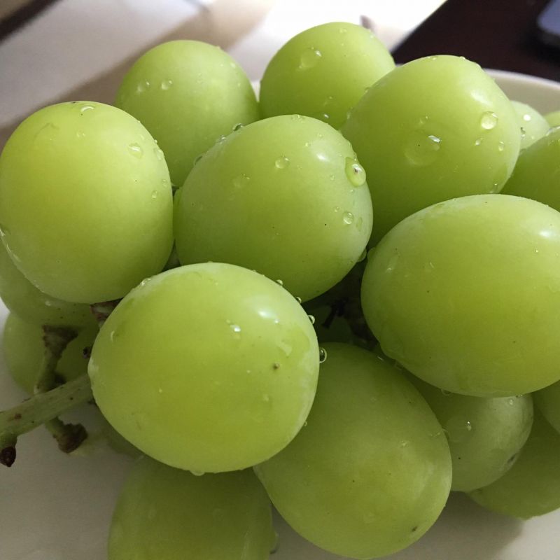 #1.脱三日坊主大作戦