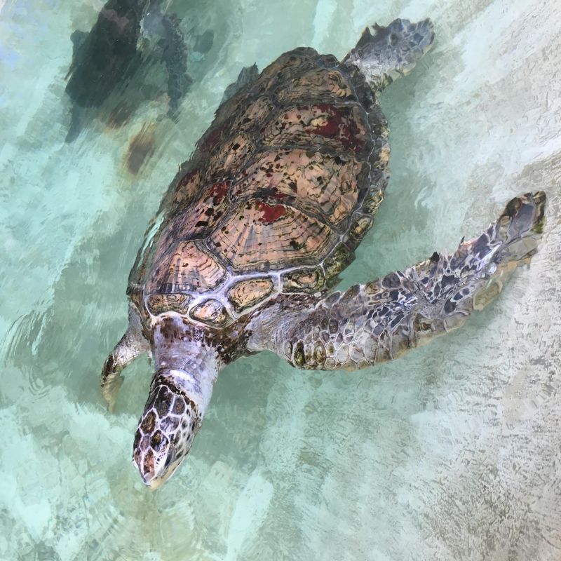 よこや。のふたりばなし。ゲスト:巧兎(たくと) part2