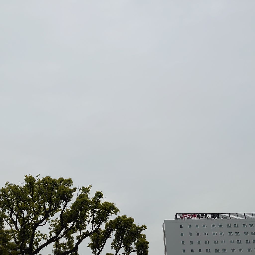 #68 お釈迦様のお花まつり