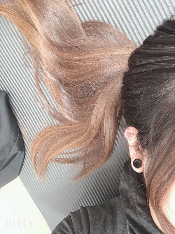 出来ればニートになりてえ