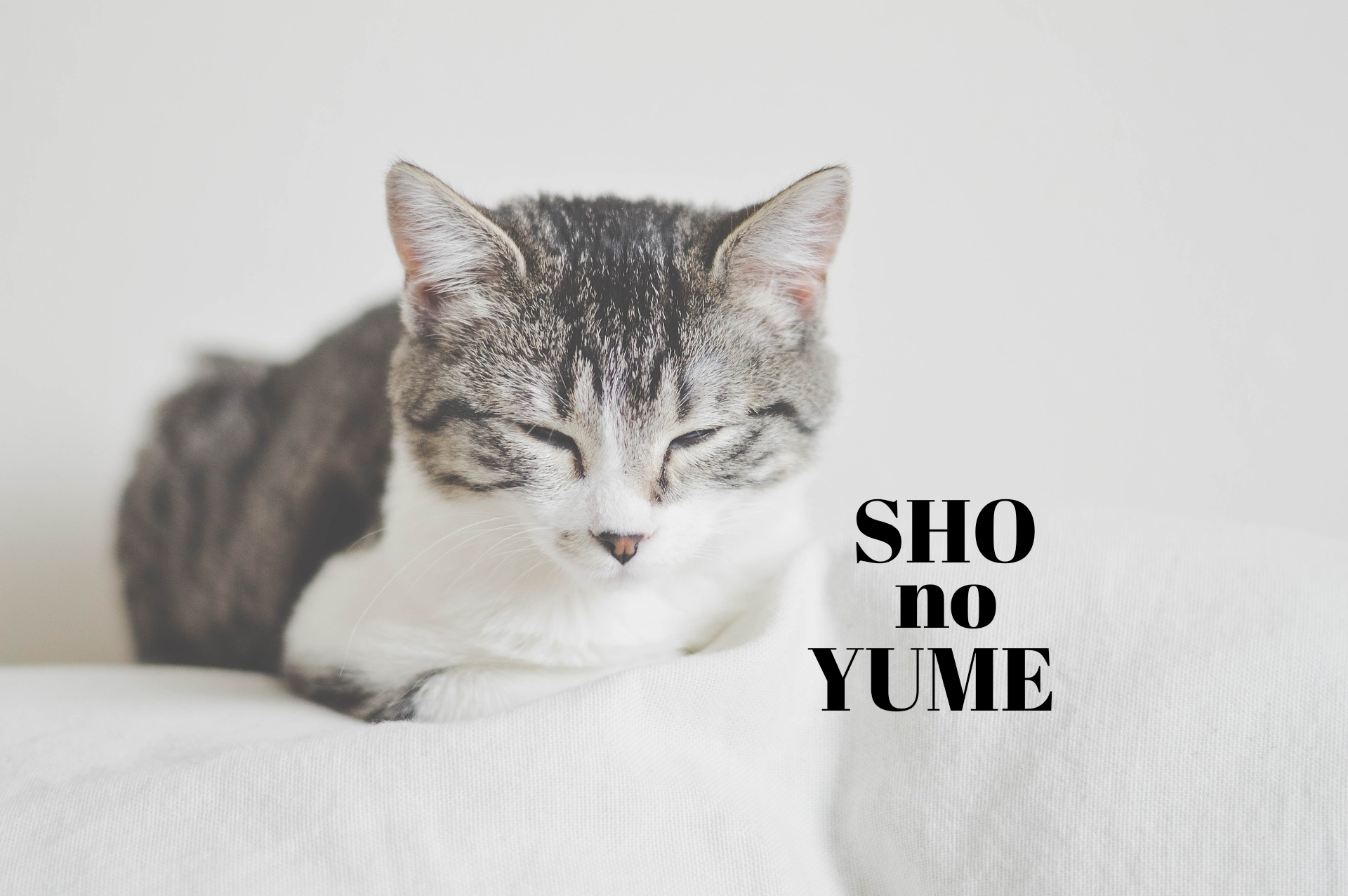 生活に役立つ開運スピリチュアル！！【SHO no YUME】