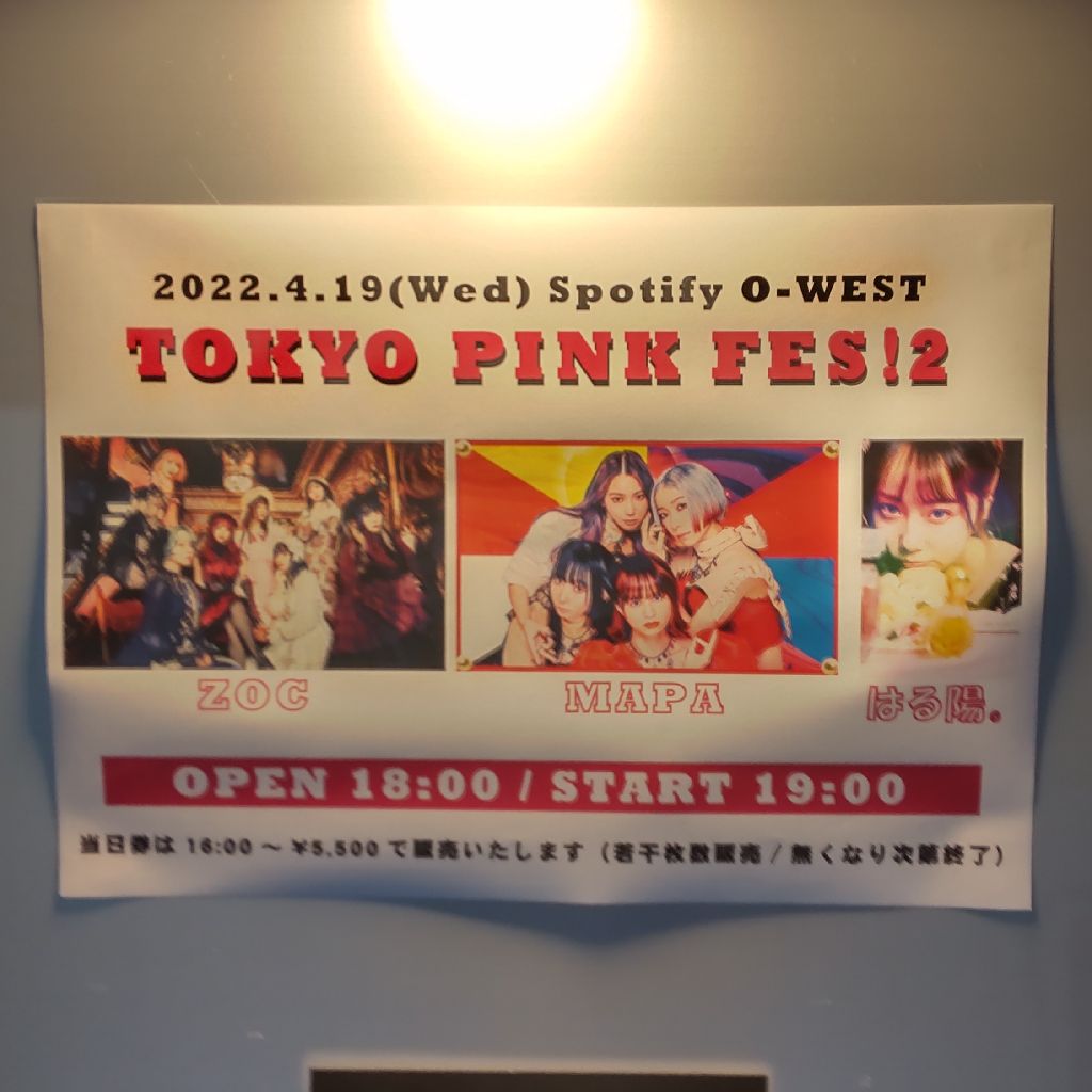 TOKYO PINK FESの光景とZOCの改名発表後のやり取りに感じたアイドル界のあるべき未来