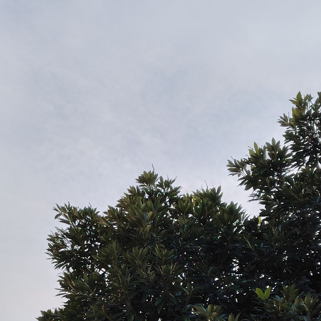 女性アイドル界の「2つのスタイル」が認識され始めたことによる今後の広がりについて