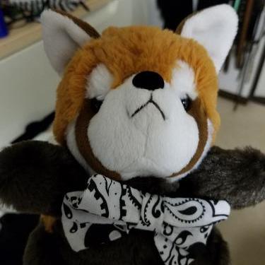 お誕生日のお話