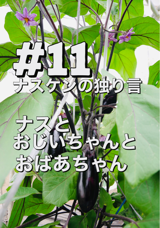 #11「ナスとおじいちゃんとおばあちゃん」 from Radiotalk episode artwork