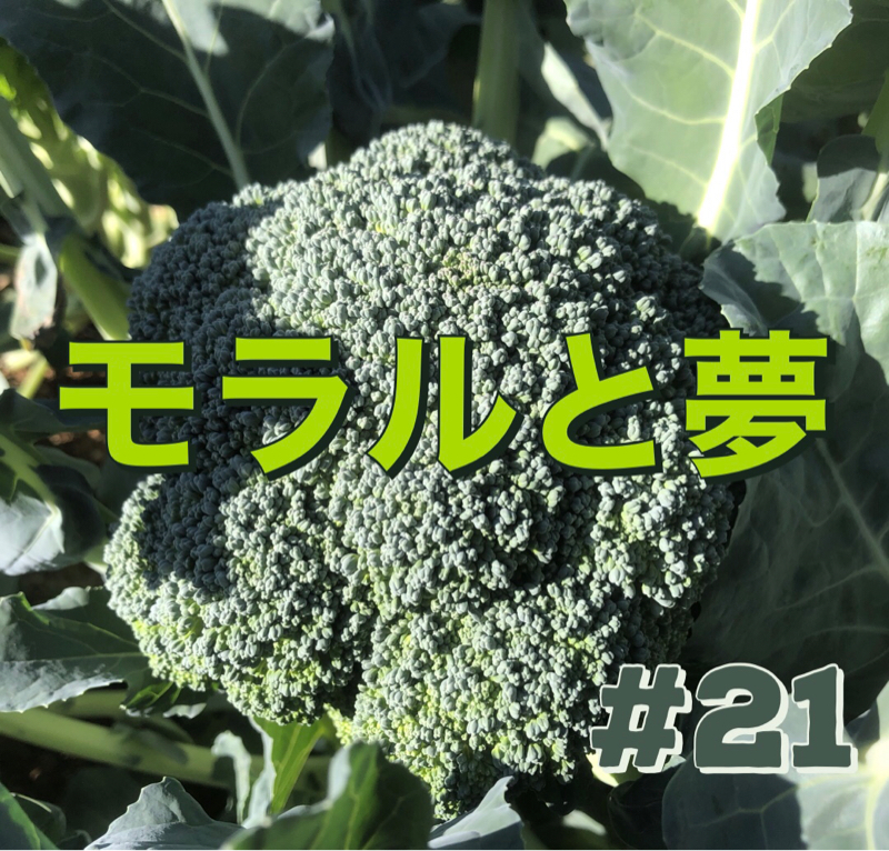 #21「モラルと夢」 from Radiotalk episode artwork
