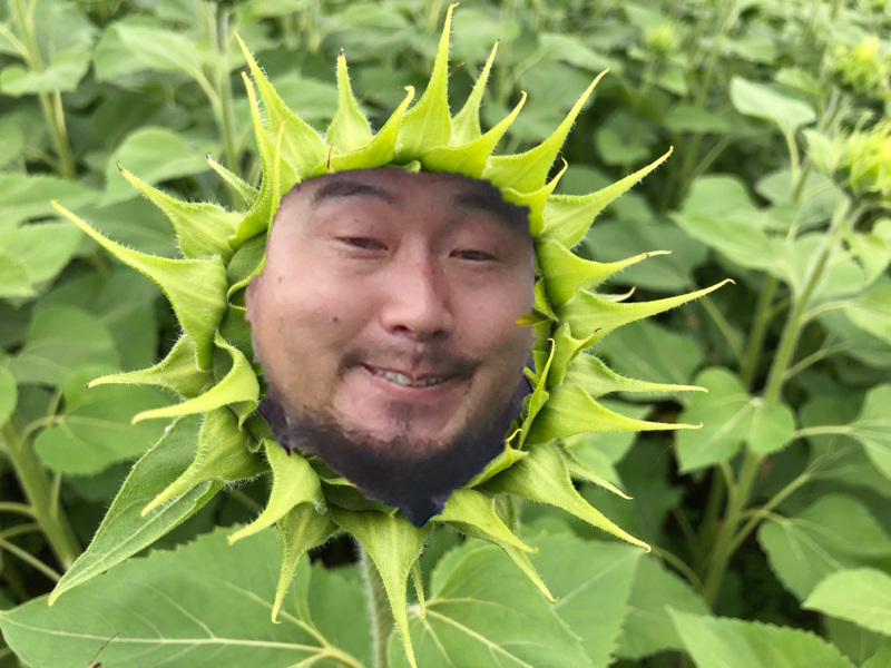 改ましてナスケンです