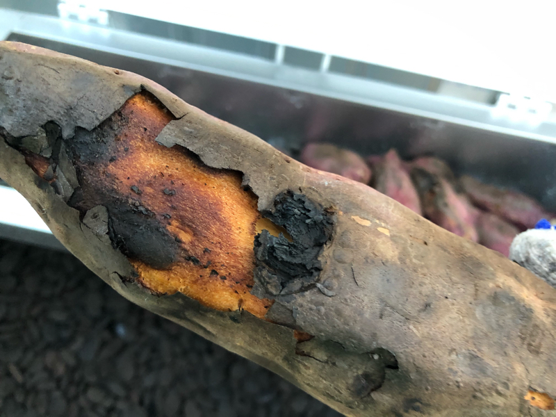 試し焼き、終わりました 2021/10/30