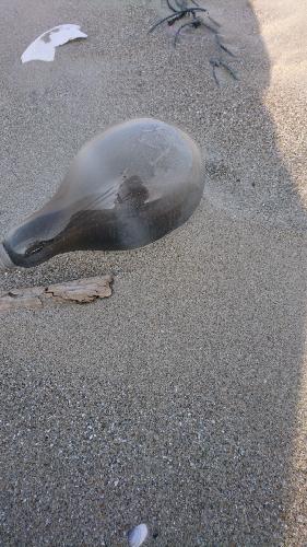 思いやりについて(前半ほぼ愚痴)