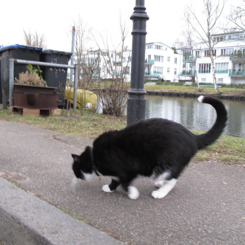 #2 節足動物とふるえるくちびる