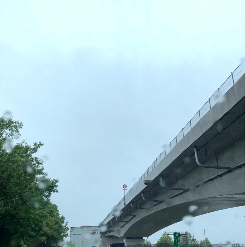 #224 しとしと降る雨からの脱線話し(^◇^;)