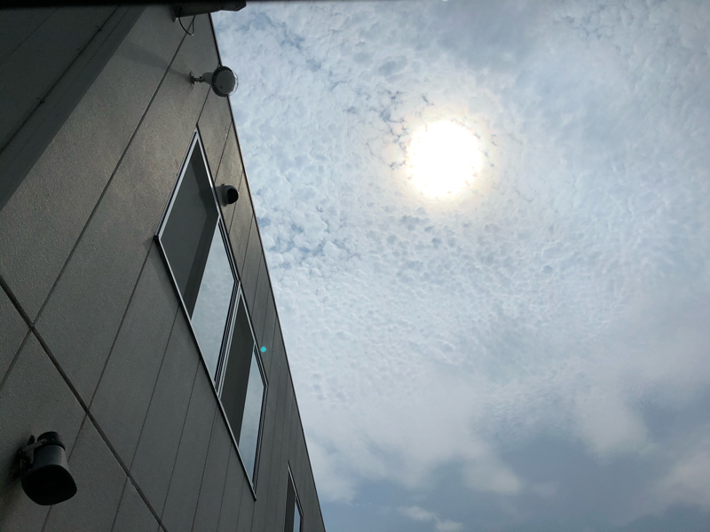 #300 蝉と季節と感覚と