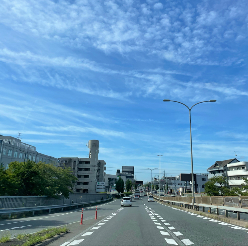 #2145 ここまで自動になったら…