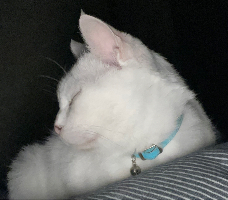 #2217 やっとですかね