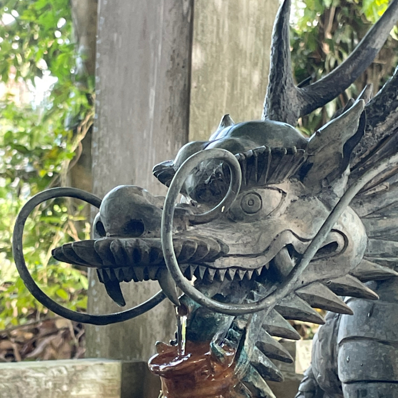 #2222 なぜかポジティブ⁈