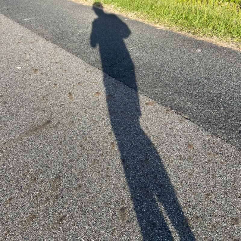 #2231 チンピラから思うこと