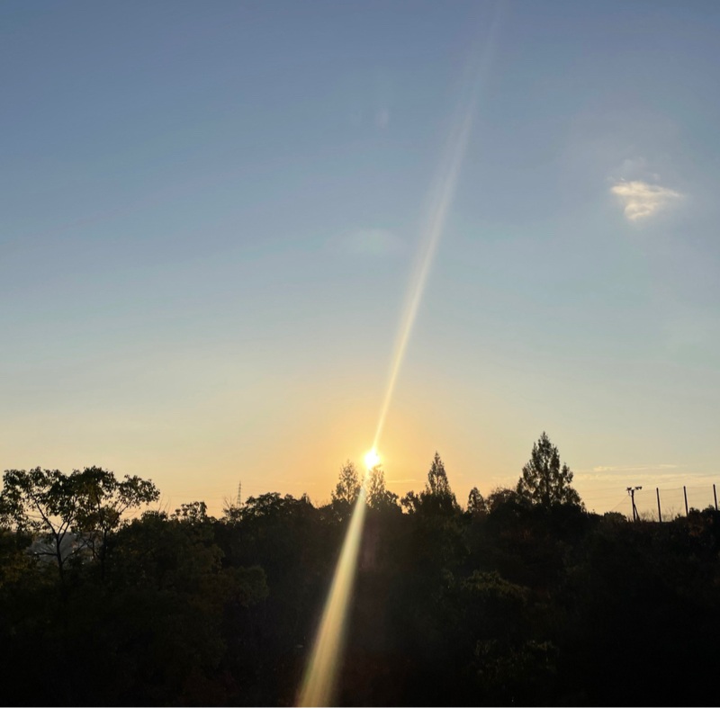 #2237 そろそろ動こうぜ‼️