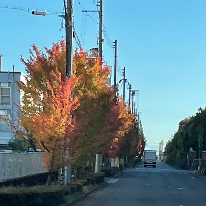 #2240 本当に進んでるか分からん🤣