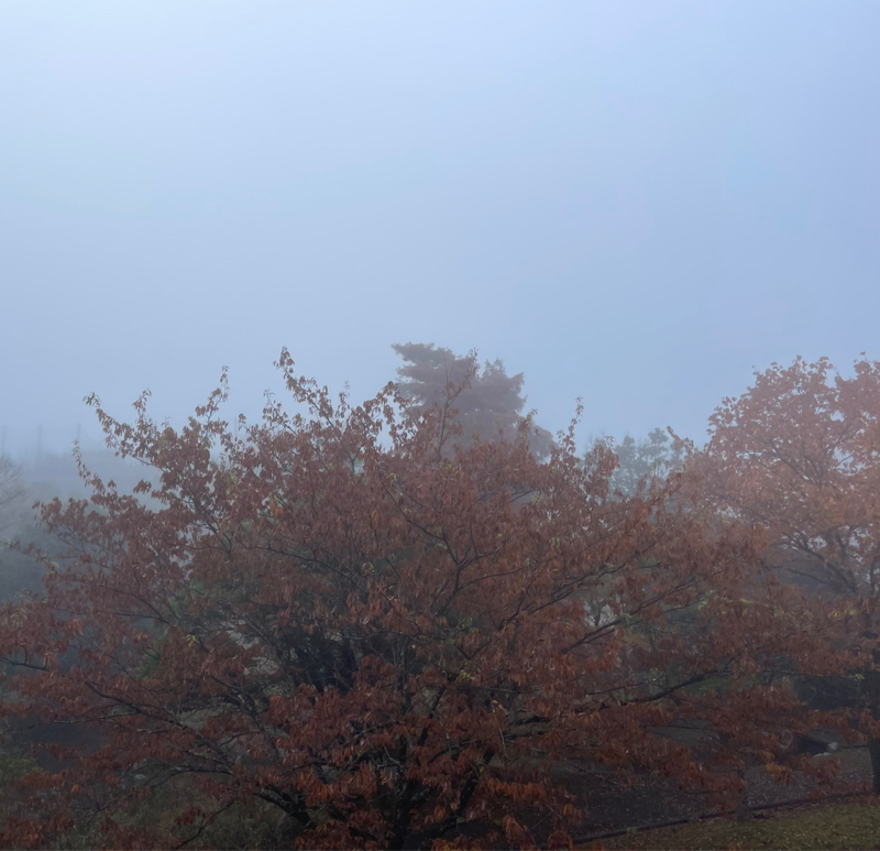 #2245 忘年会をやらない奴の雑談