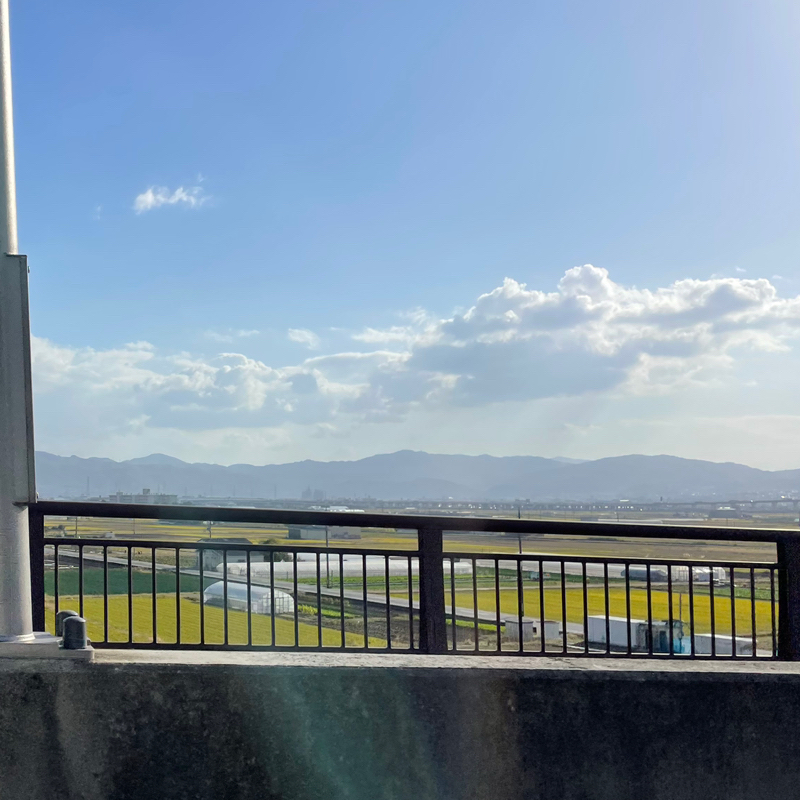 #2248 小椋池という存在