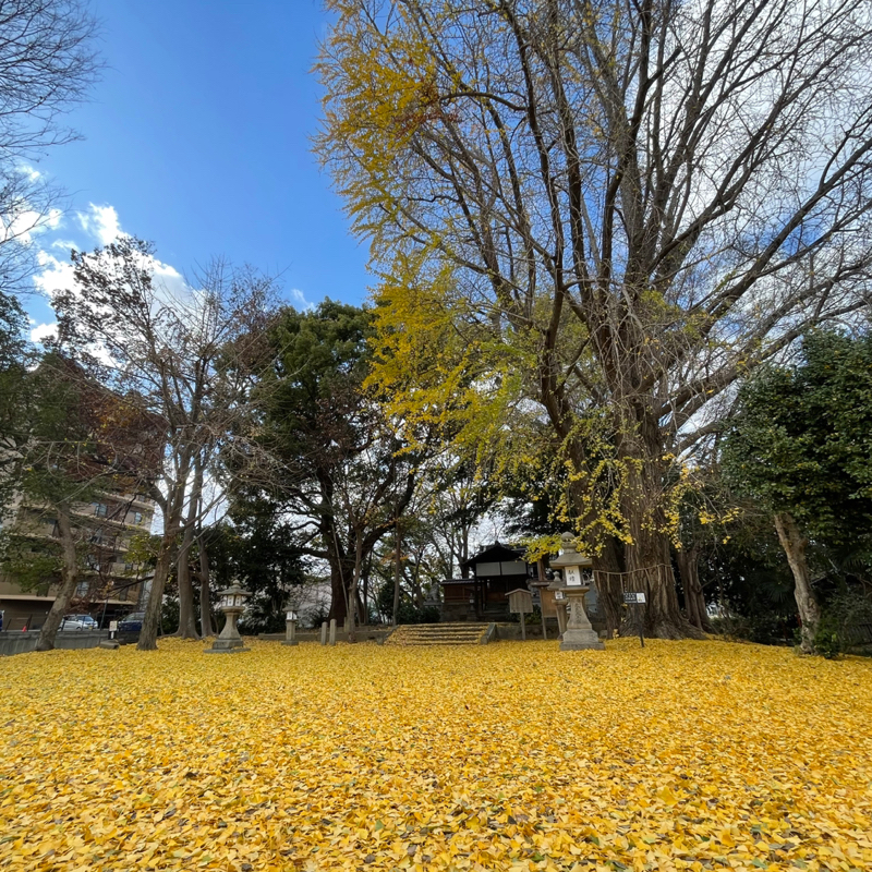 #2264 じゃあ僕ならちゃんと制御できる？