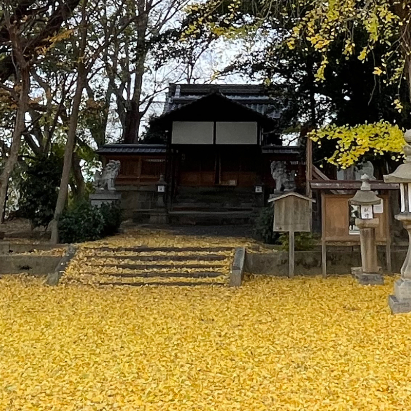 #2266 失われた技術