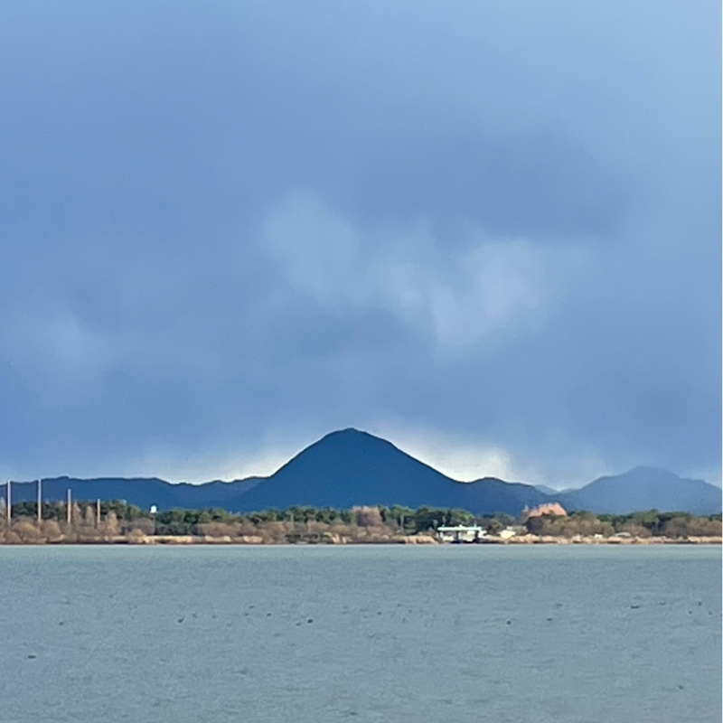 #2284 そういう時期にきたのかな？