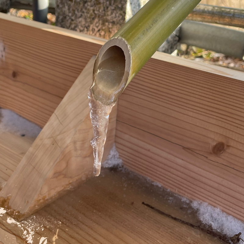 #2297 解散総選挙⁉️