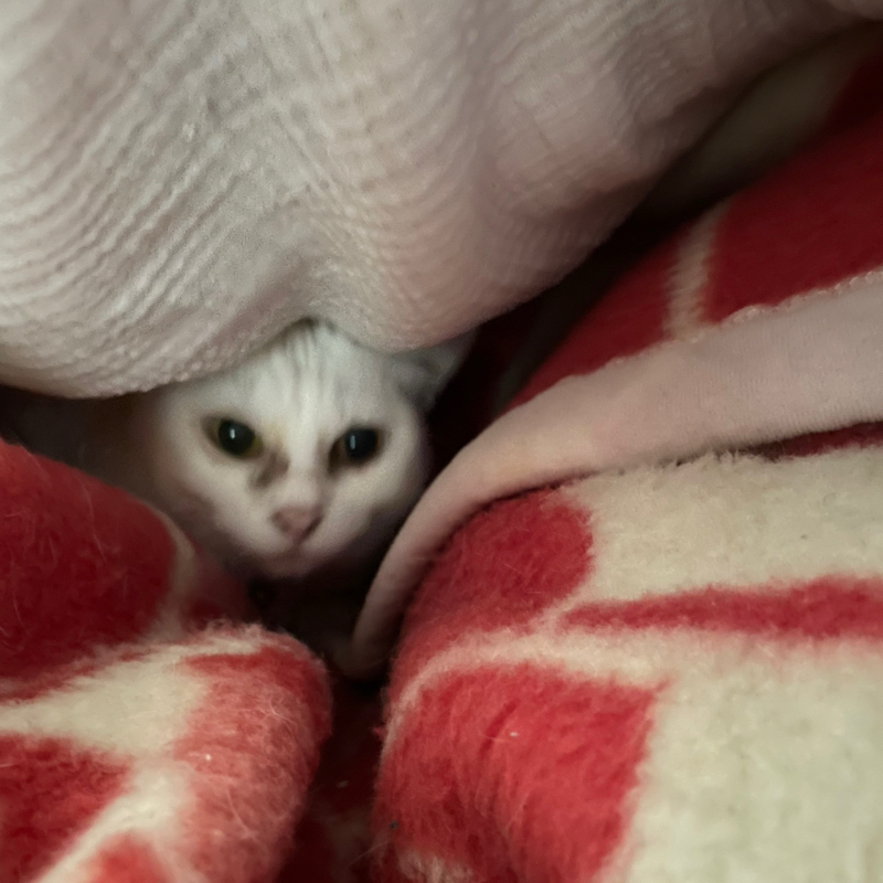 #2315 なんとか新たなルーティーンの構築へ