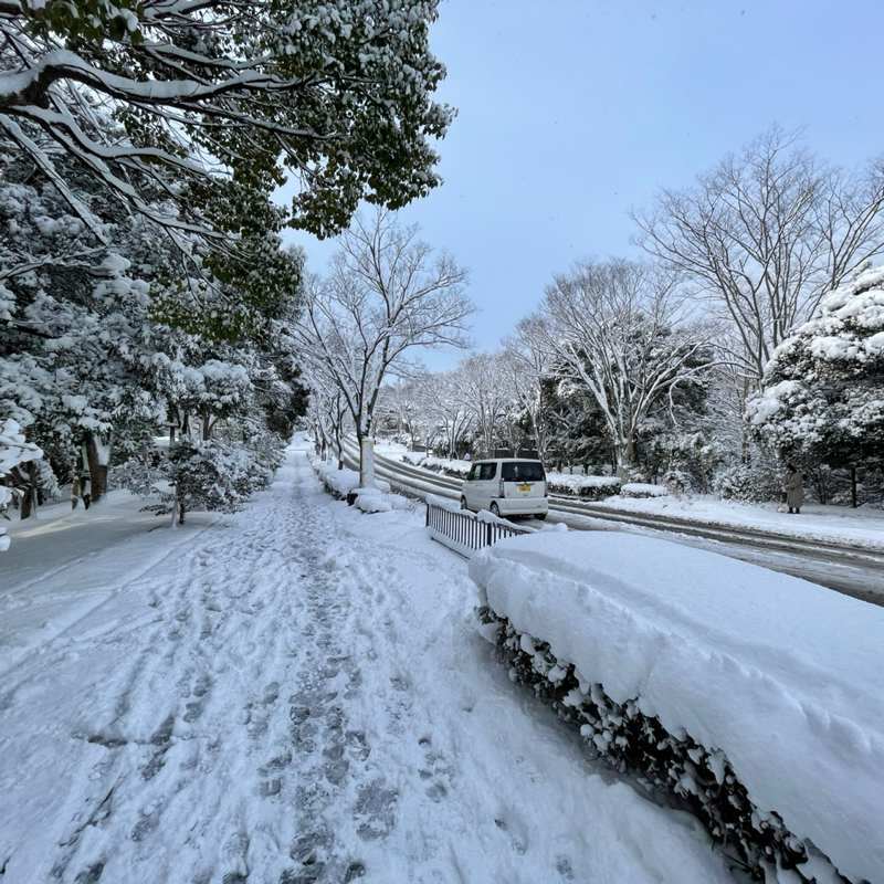 #2325 特じゃなくても損をしないのが…